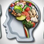 The Essentials of a Balanced Diet for Mental Wellness