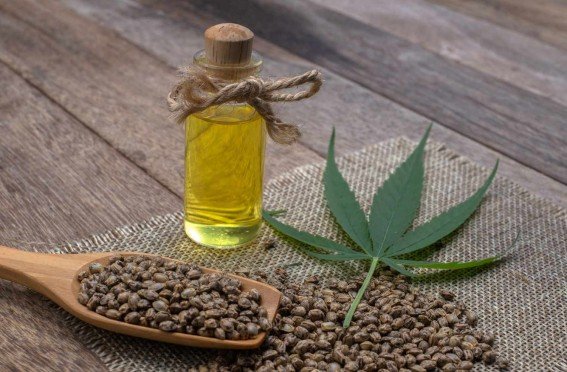 Unveiling the Healing Potential of Hemp Oil: From Extraction to Medical Applications