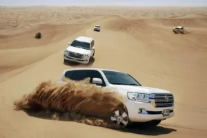 A Private Safari in Dubai
