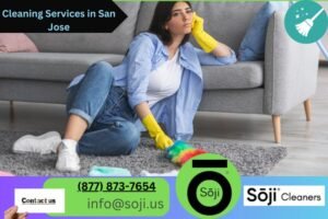 Cleaning Services in San Jose