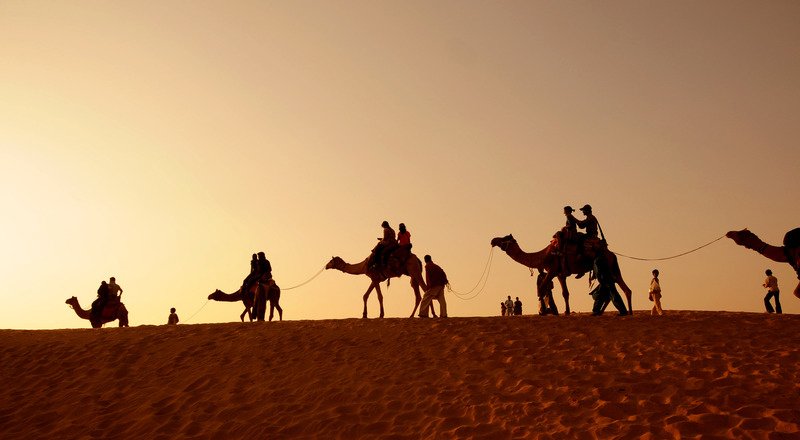 Evening Desert Safaris