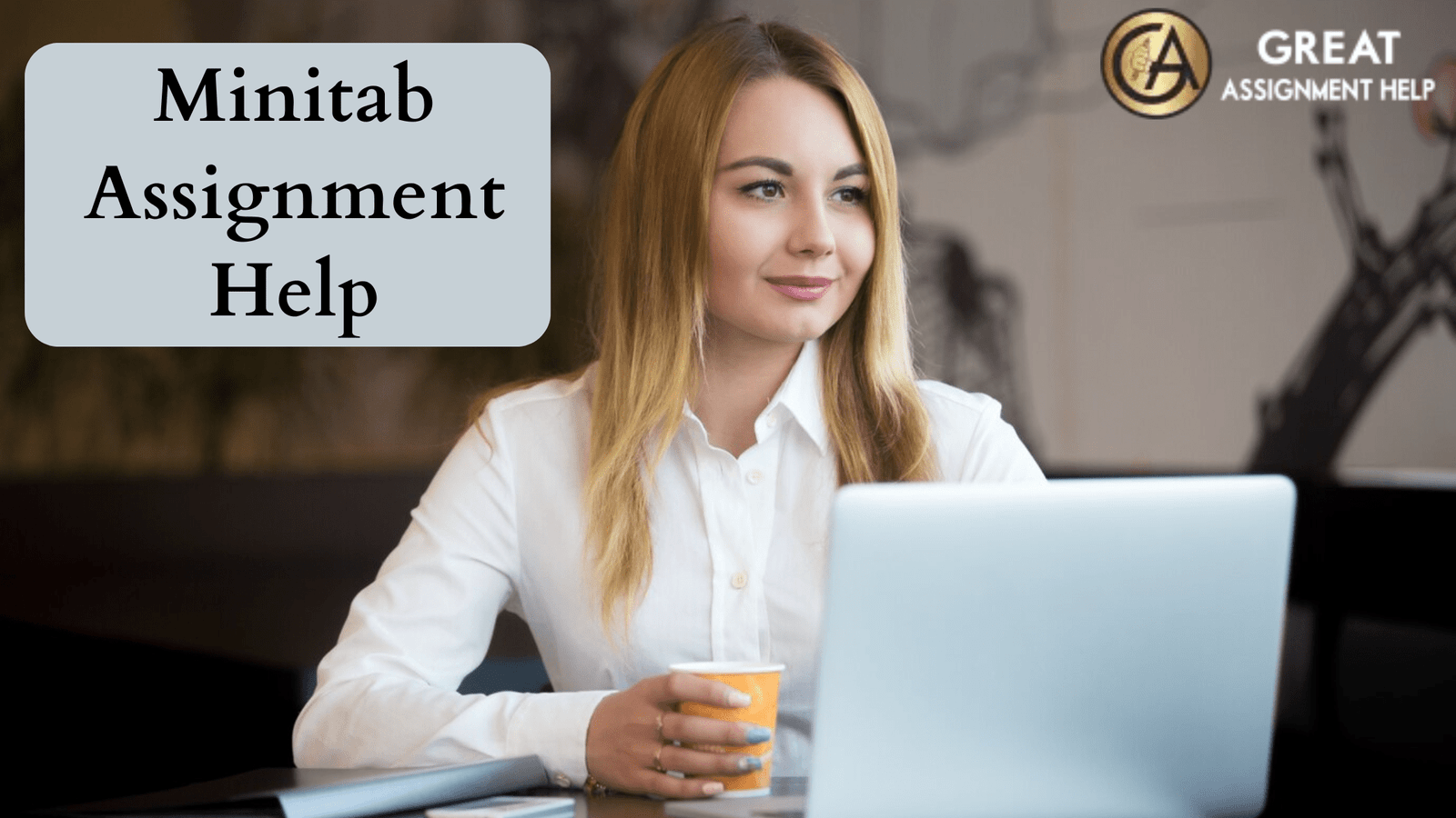 Minitab assignment help