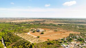 Plots in Guntur