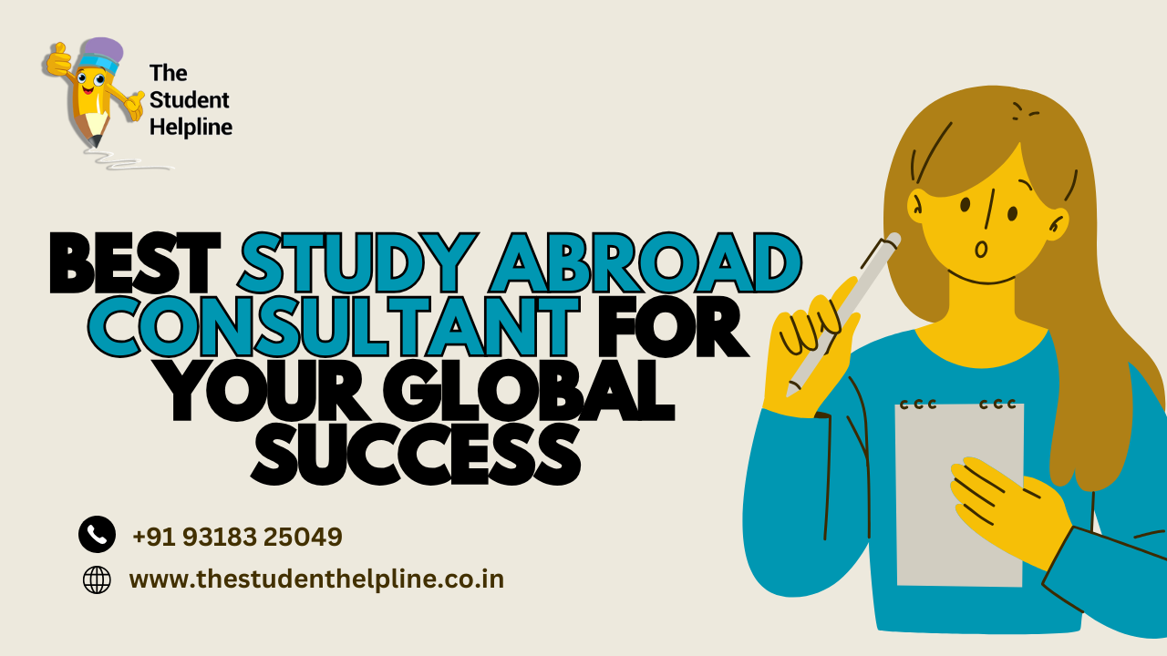 study abroad consultant