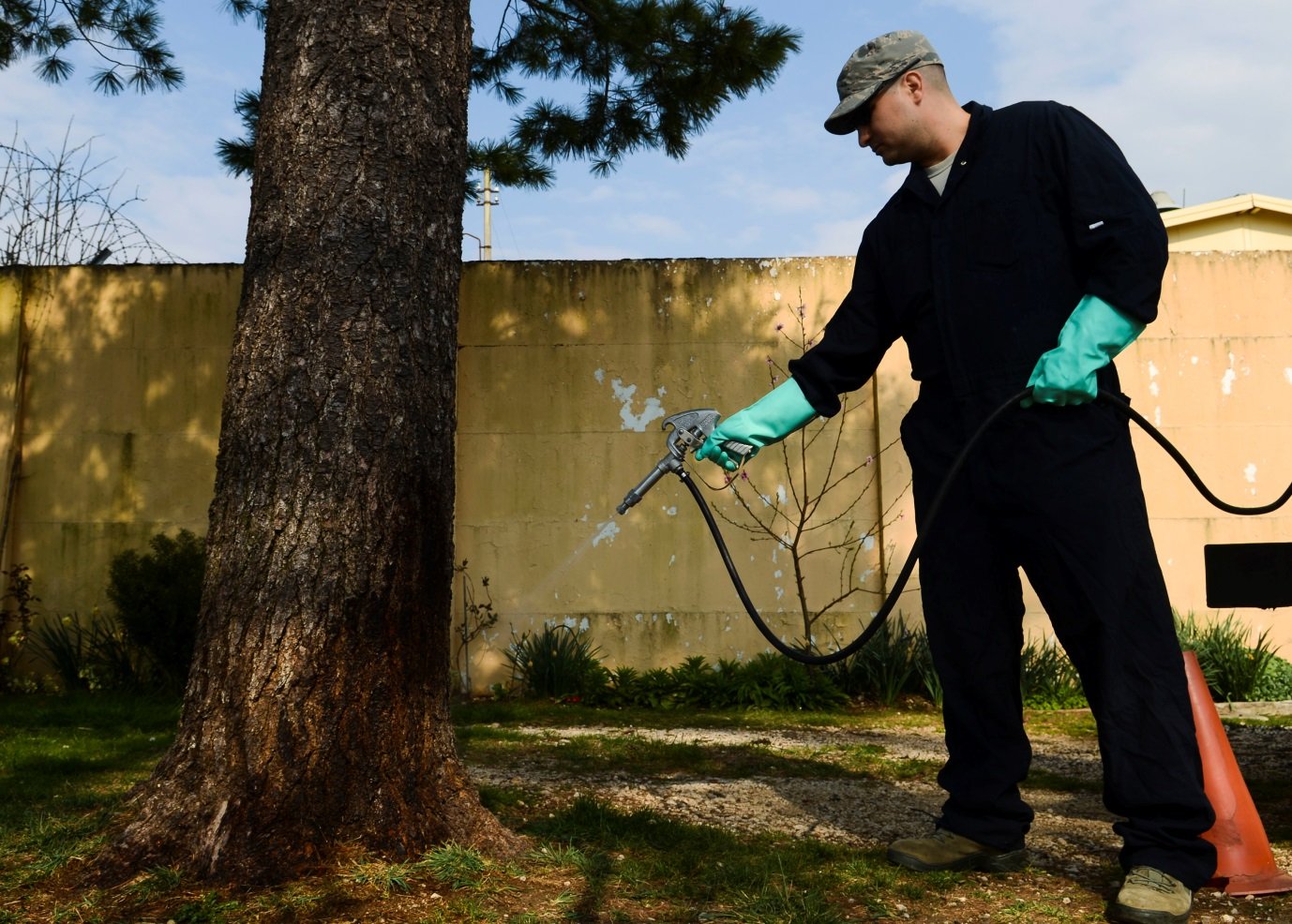 Pest Control in Lahore and Guide Termite Control