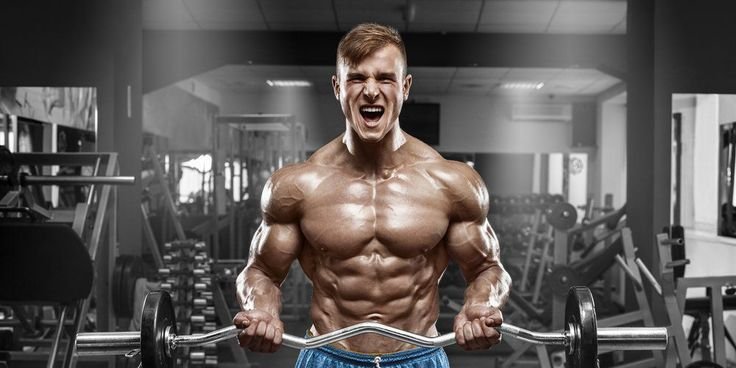 bodybuilding trainers near Winnipeg MB