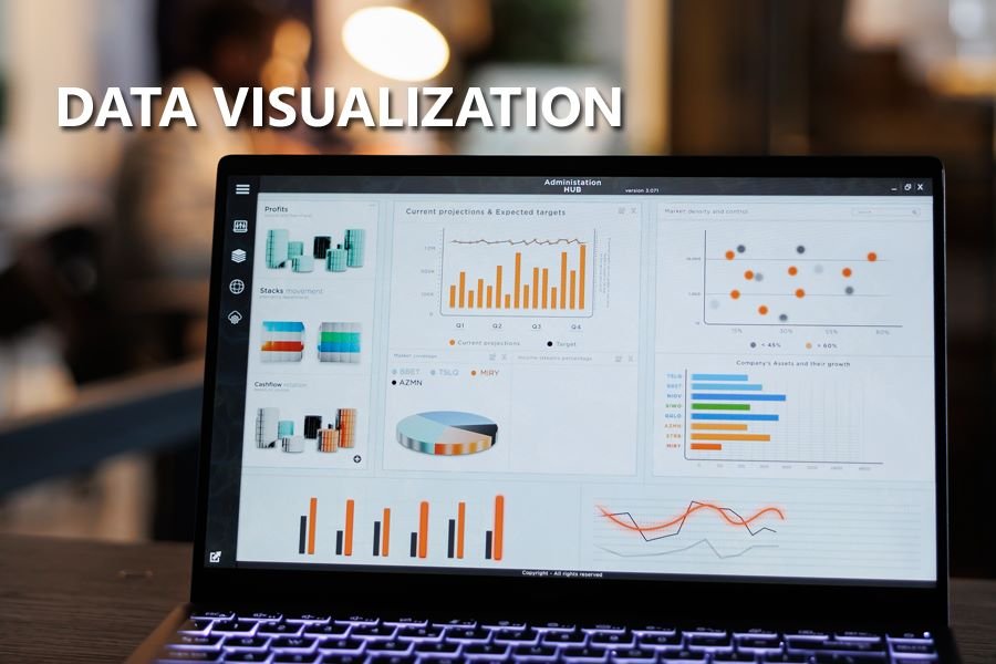 Data Visualization Services