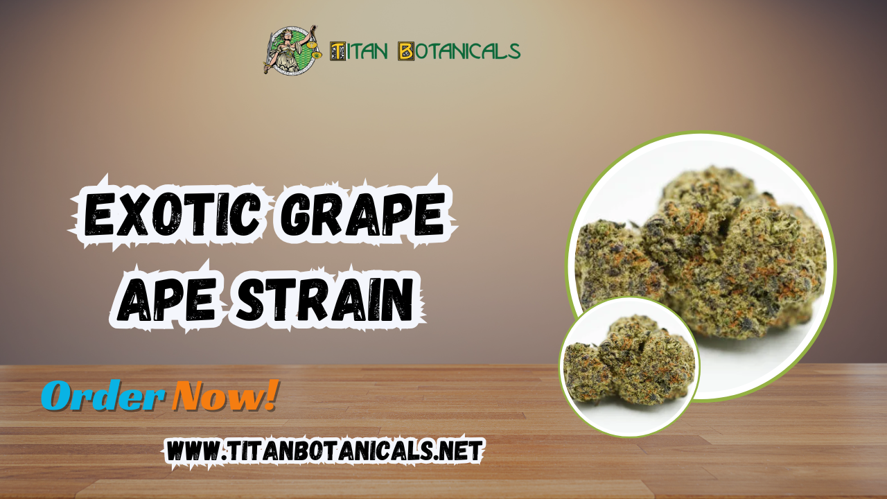 Exotic Grape Ape Strain
