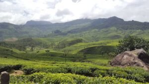 Kerala Wayanad tour