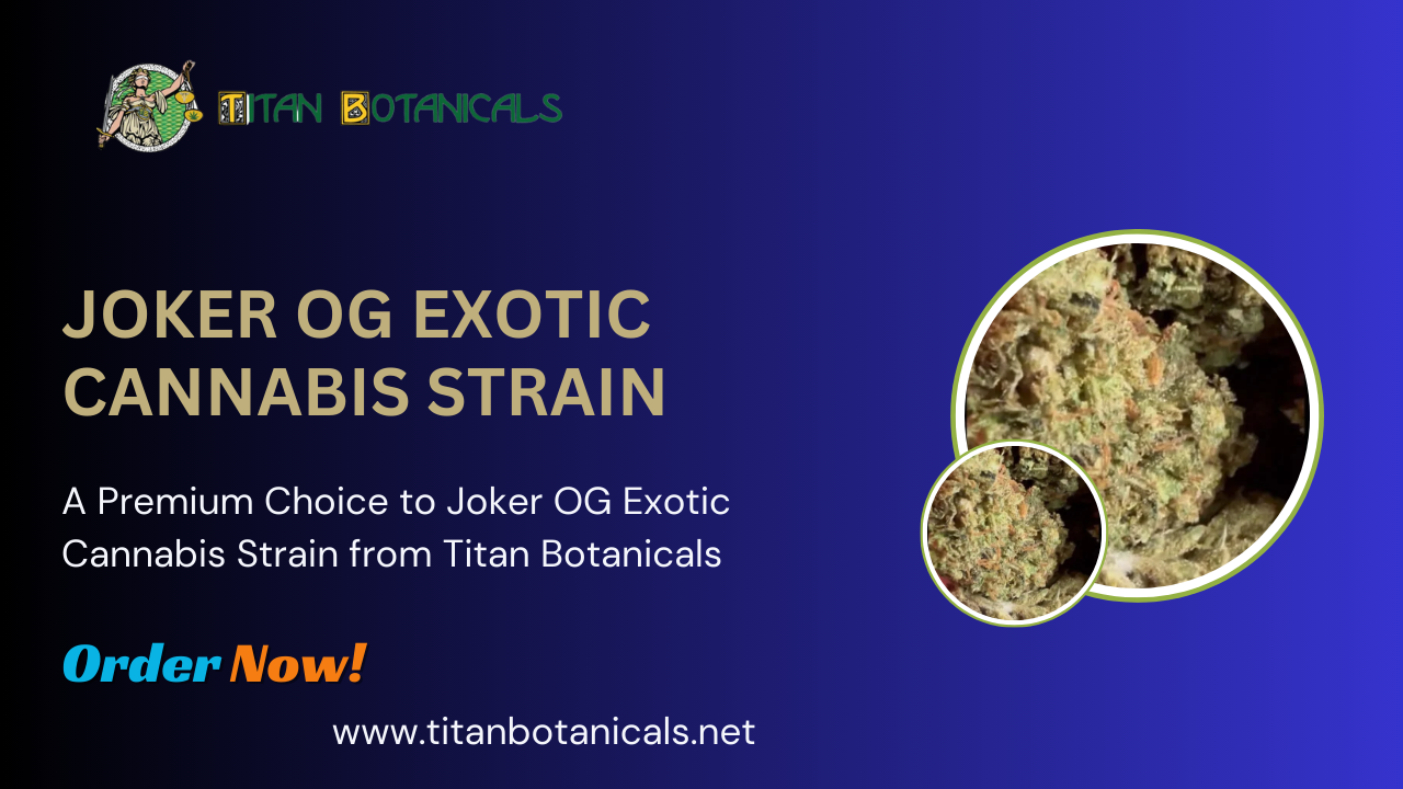 Joker OG Exotic Cannabis Strain