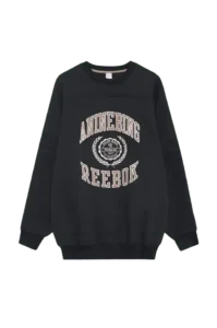 Anine Bing sweatshirt