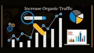 Organic Search Rankings, how to improve organic search ranking, boost your website organic traffic, increase online sales, top seo services for local business, improve website google ranking