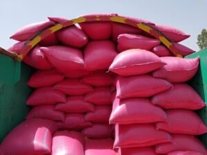 polypropylene bags