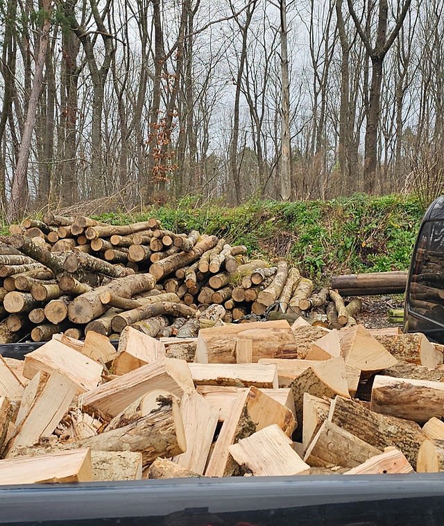 Logs for Sale in Poole