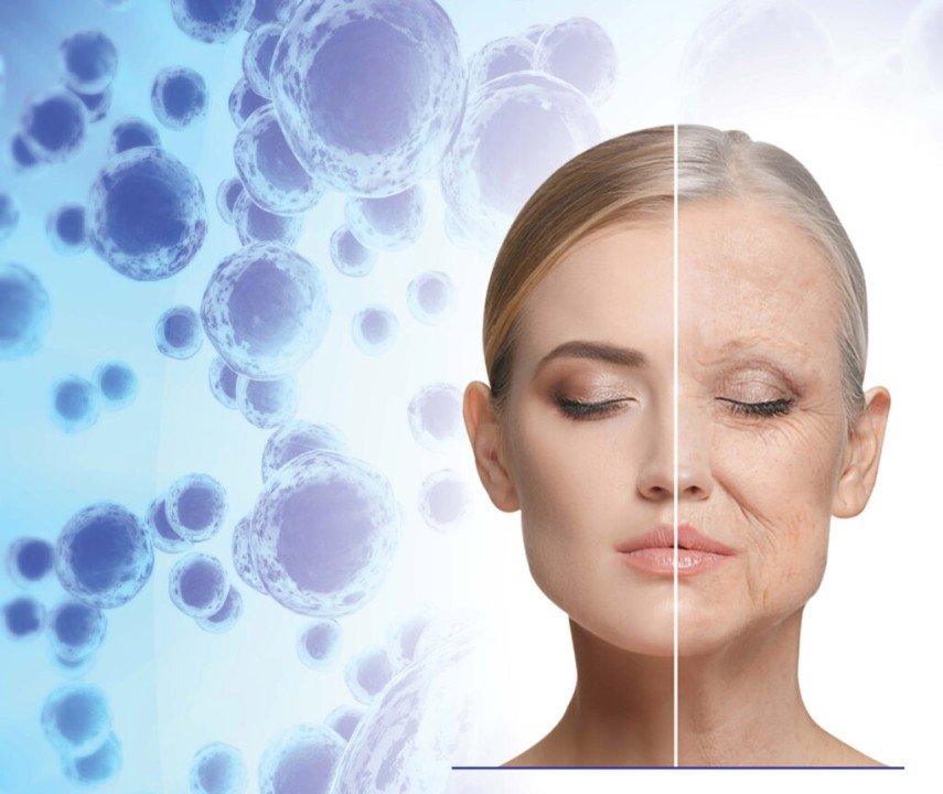 The Science Behind Stem Cell Facelift for Younger Skin