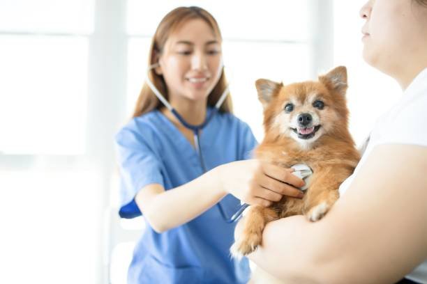 Pet Health Clinic