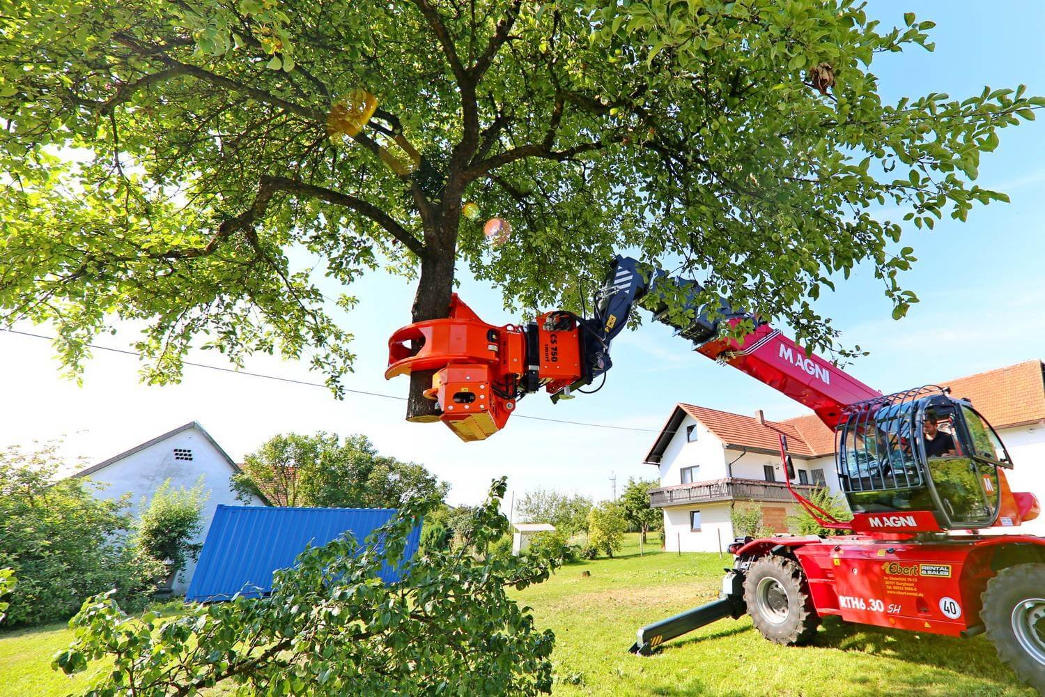 tree removal crosby tx