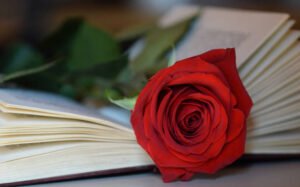 passionate romance online books