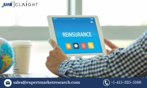 Reinsurance Market