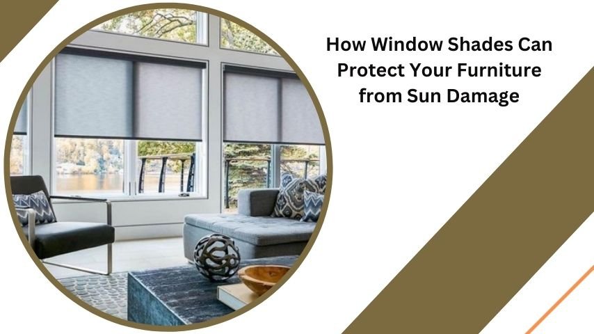 How Window Shades Can Protect Your Furniture from Sun Damage