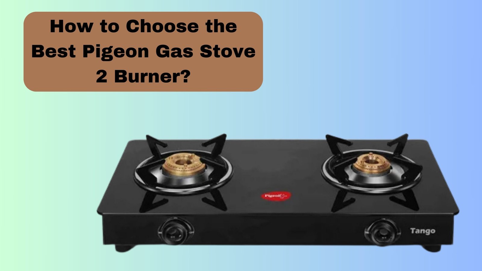 How to Choose the Best Pigeon Gas Stove 2 Burner