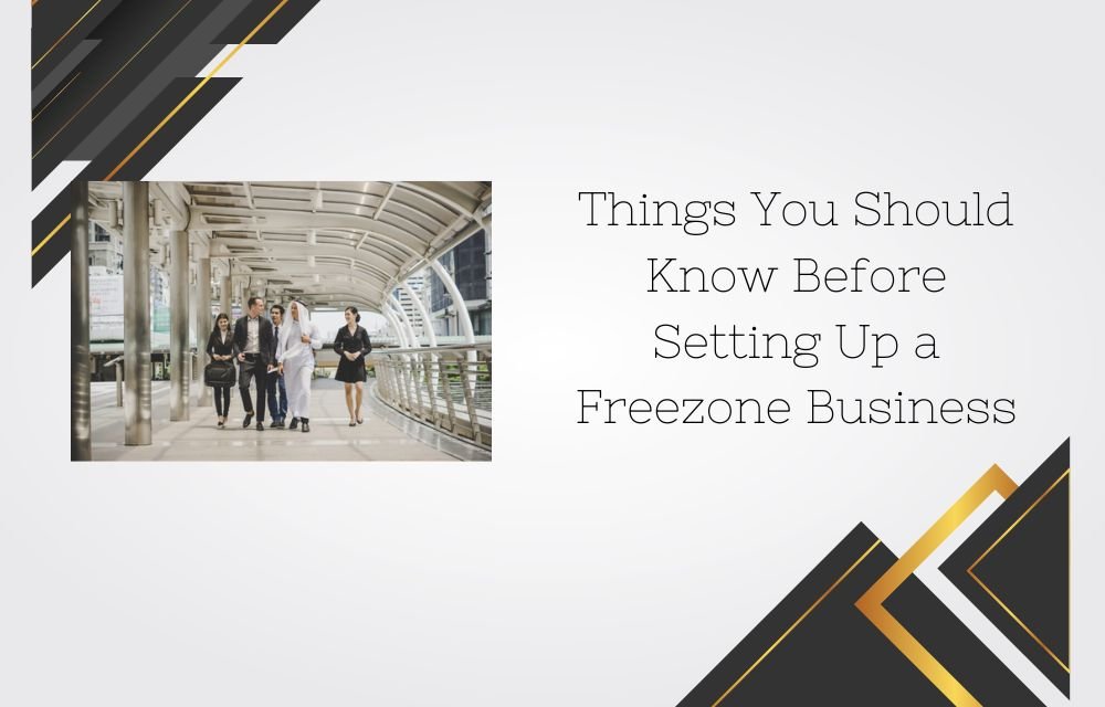 Things You Should Know Before Setting Up a Freezone Business