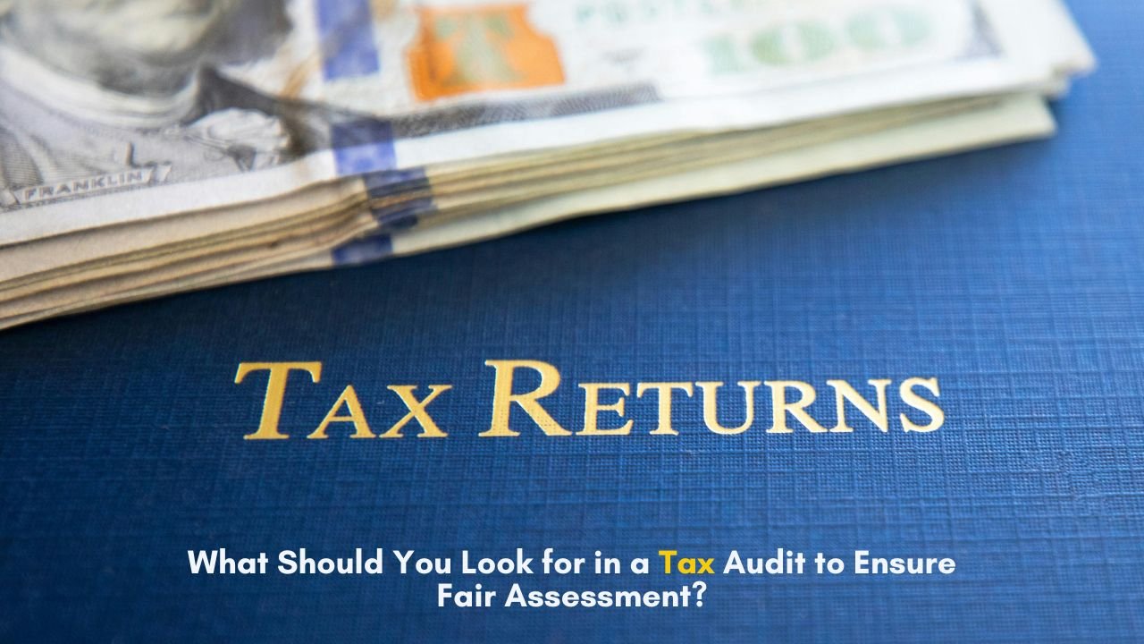 tax audit