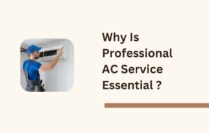Why Is Professional AC Service Essential