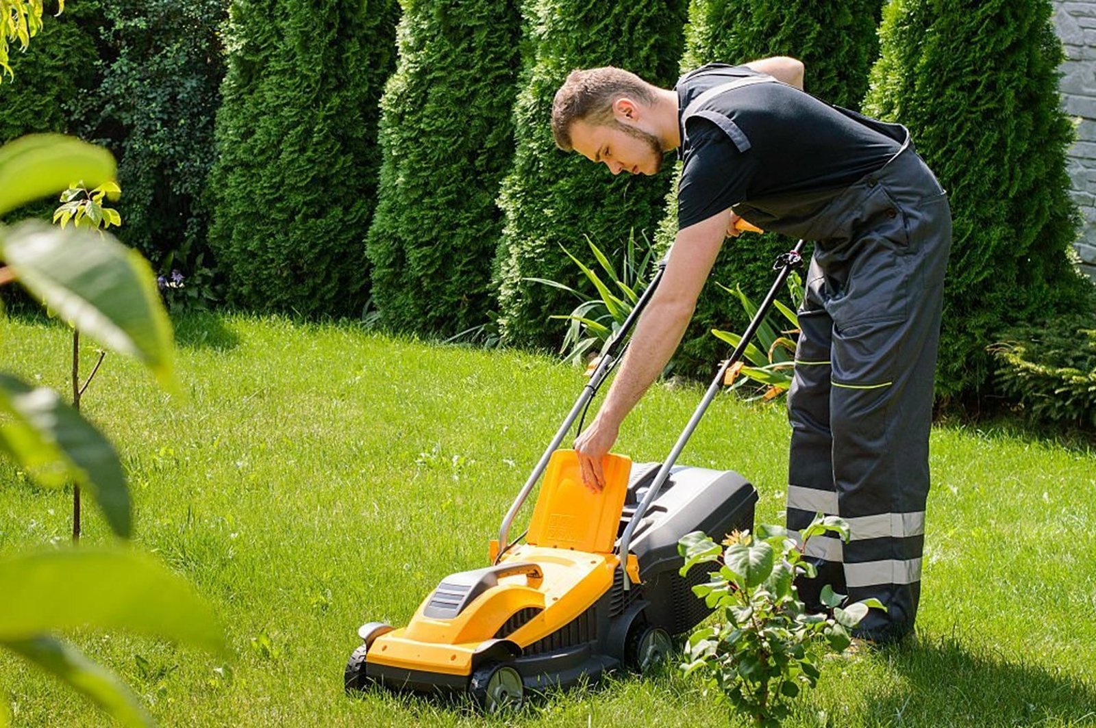 Bushranger Lawn Mowers for Sale