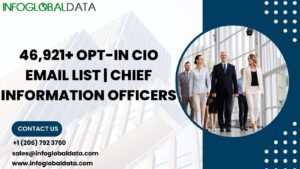 CIO Email List