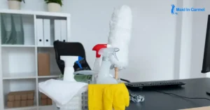 How Professional Cleaning Services Can Save You Time and Reduce Stress?