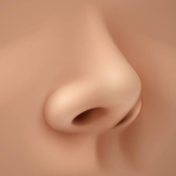 Silicone Nose Surgery: Achieve a Harmonious, Balanced Nose