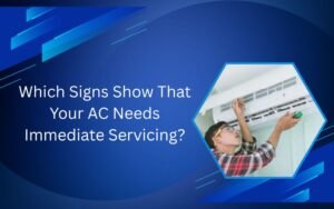 Ac Maintenance Service