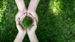 Sustainable Certification