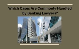 Which Cases Are Commonly Handled by Banking Lawyers (1)