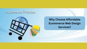 Why Choose Affordable Ecommerce Web Design Services