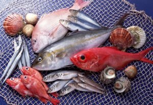 Sustainable Fisheries