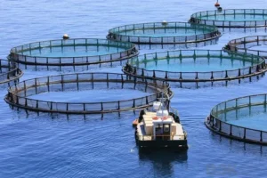Sustainable Aquaculture
