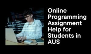 Programming Assignment Help