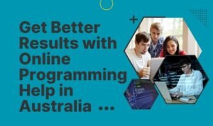 Code Assignment Help