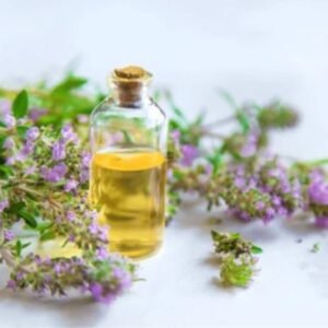 Spice Oil Suppliers