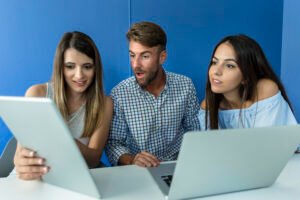 pest control seo