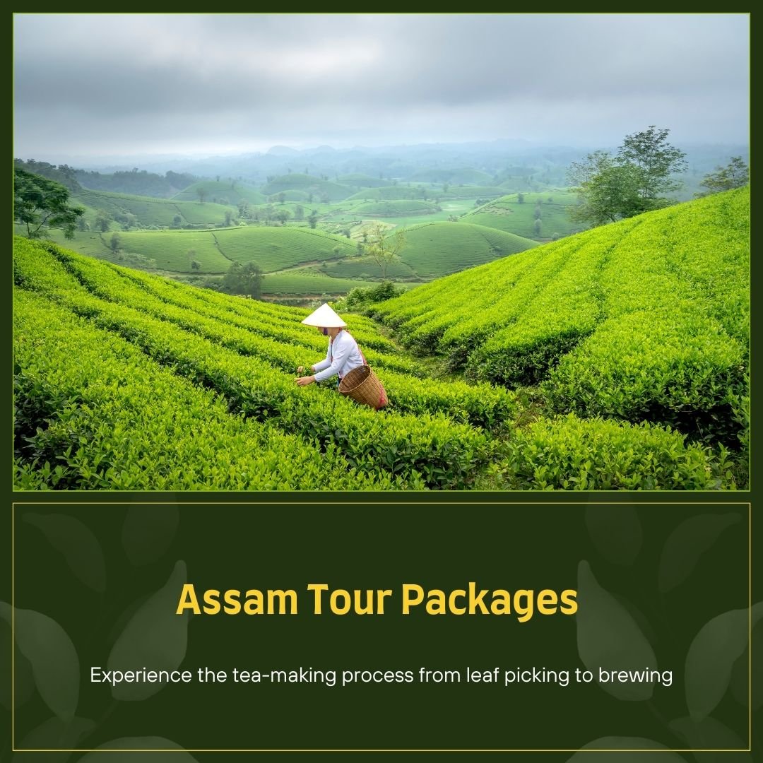 Assam Tour Packages