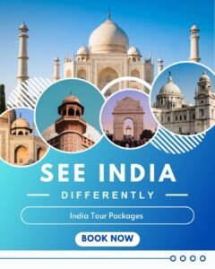 india travel guide