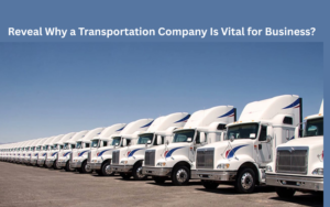 Reveal Why a Transportation Company Is Vital for Business?