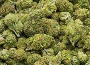 Weed Delivery in Fergus