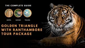 golden triangle with ranthambore tour package