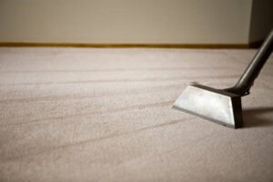 carpet cleaning
