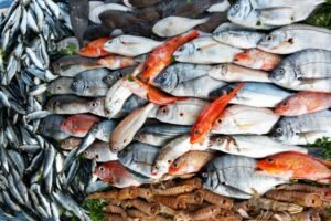 seafood suppliers in uae