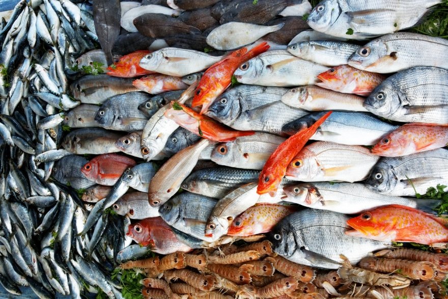 seafood suppliers in uae